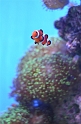 Kids_SeaWorldSA-2013 (118)